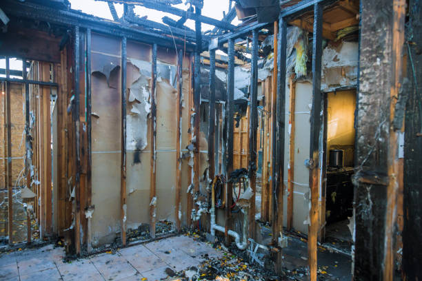 Professional Smoke Damage Removal technician working in Enumclaw, WA